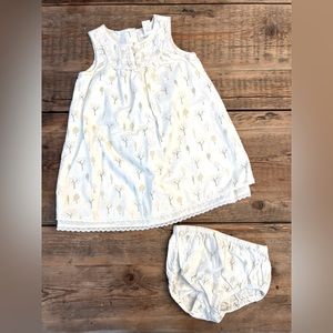 Whimsical Woodland: Lace-Trimmed Dress and Bloomers Set